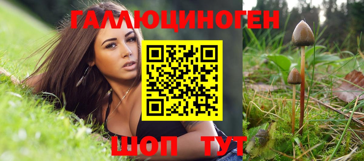 где купить   Галлюциногенные грибы мухоморы  Лосино-Петровский  Вход с VPN  Галлюциногенные грибы Cubensis 